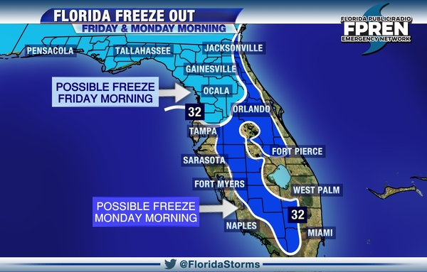 Freezing Weather To Blanket Much of Florida | WUSF News