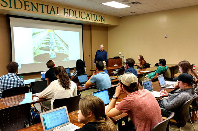 Usf bais coursework picture