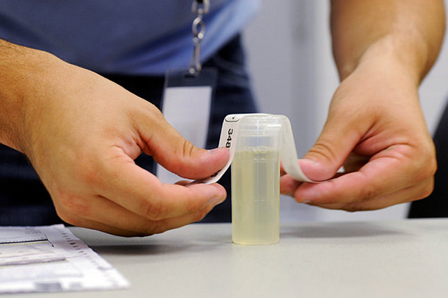 Florida drug testing laws 2021 picture