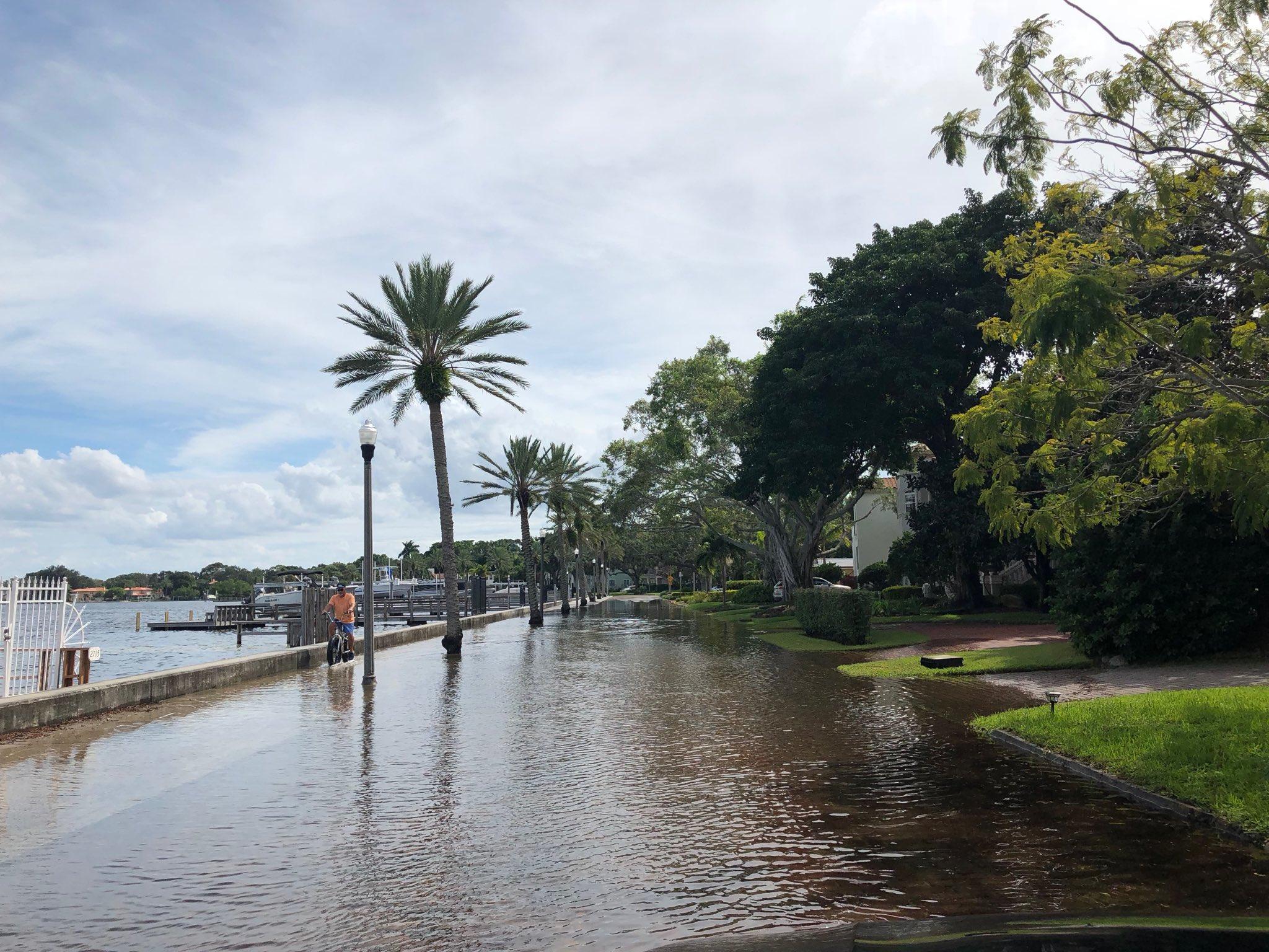 Hurricane Michael Causing Minor Coastal Flooding Around Tampa Bay Coffee Pot Boulevard Flooding In St Pete Tuesday Afternoon