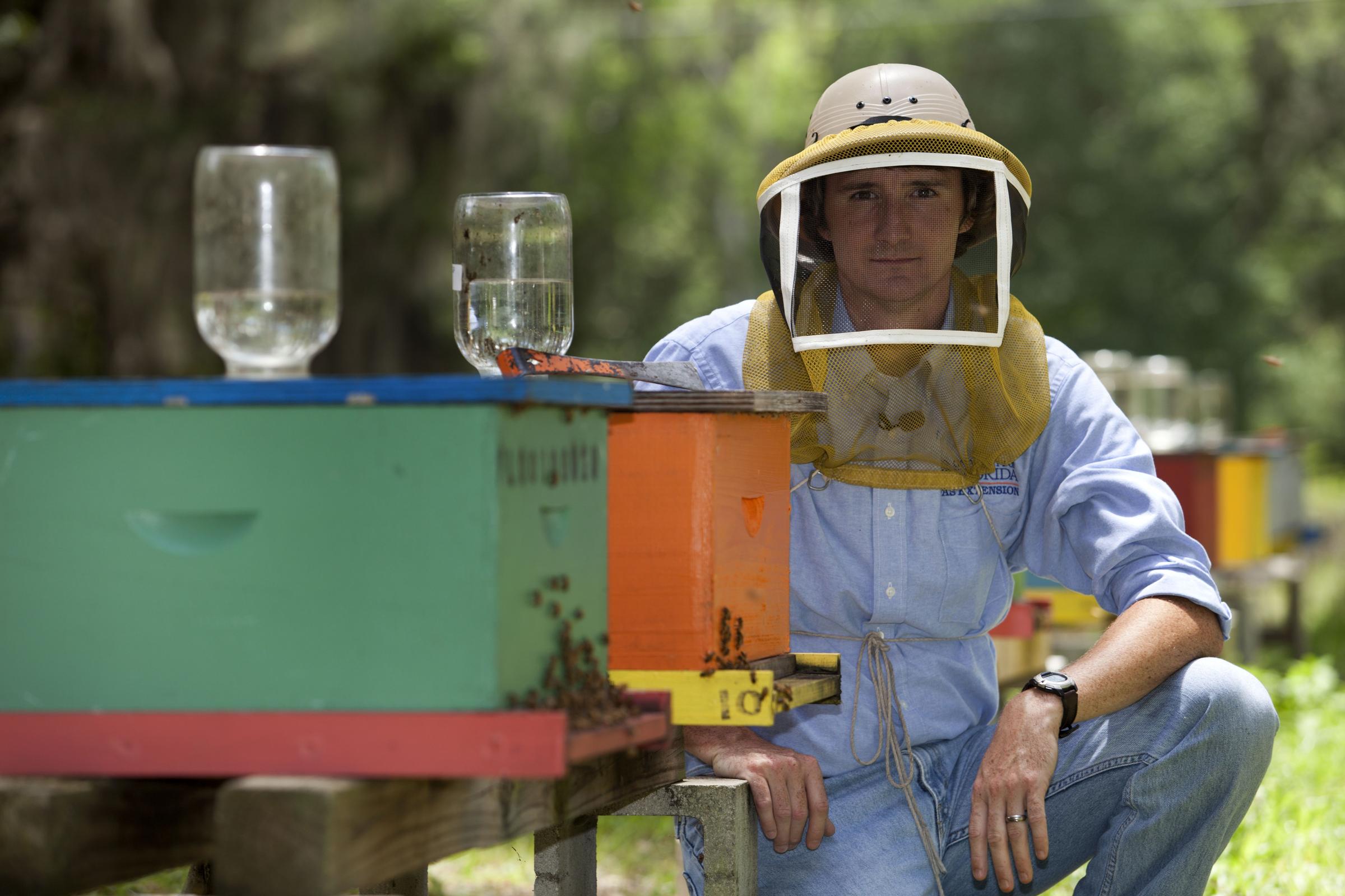 The Buzz On Floridas Honey Bees Wusf News