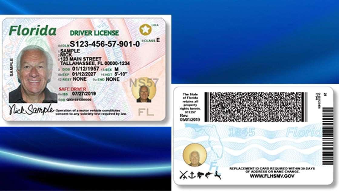 Driver License Florida Book At Debra Williams Blog