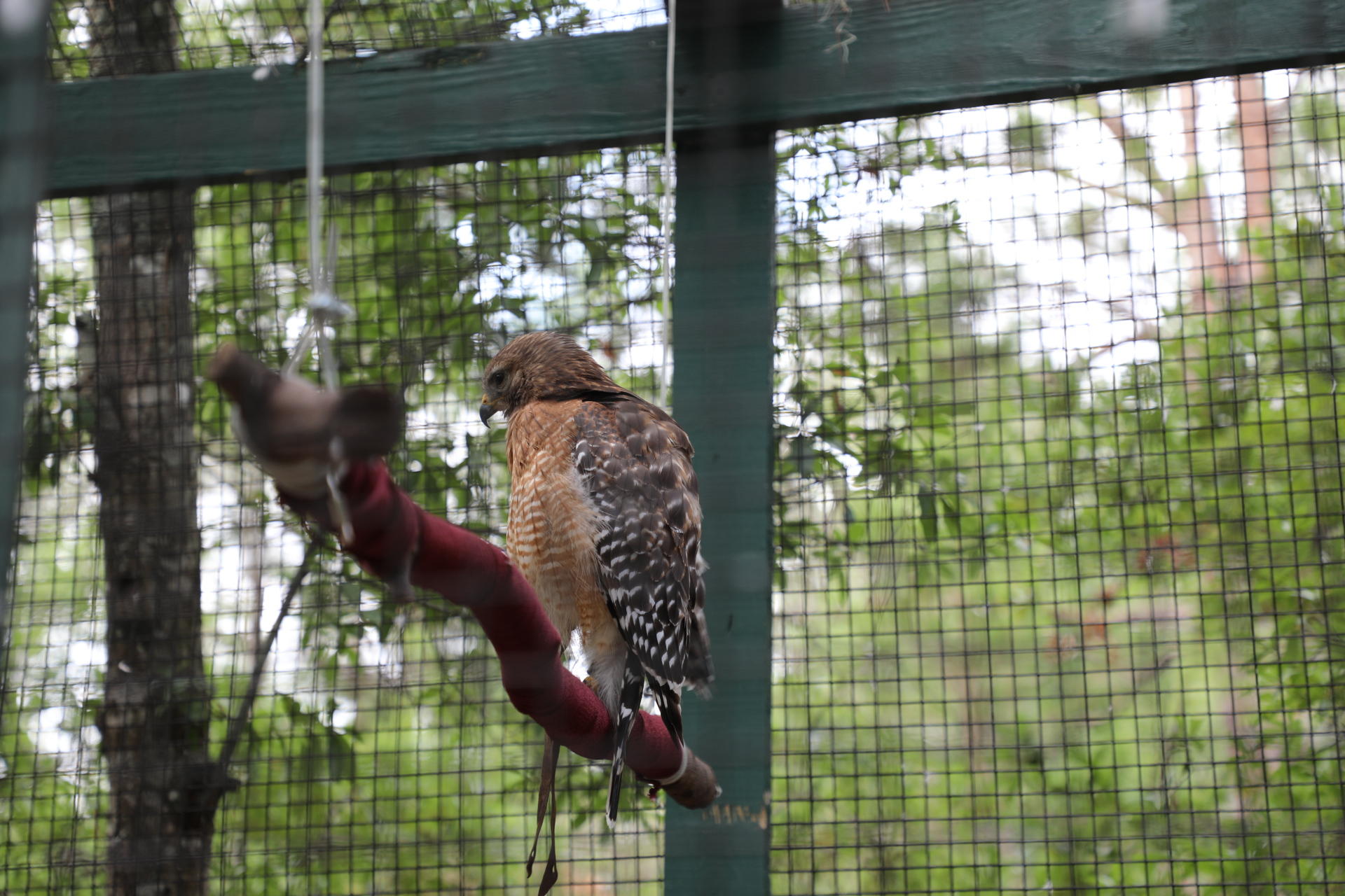 Emerald Coast Wildlife Refuge Back To Nature In Its New Location Wuwf