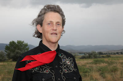 A Year Of Autism Science From Autism >> Temple Grandin Gives Readers Look Inside The Autistic Brain Wuwm A Year Of Autism Science From Autism >> Temple Grandin Gives Readers Look Inside The Autistic Brain Wuwm