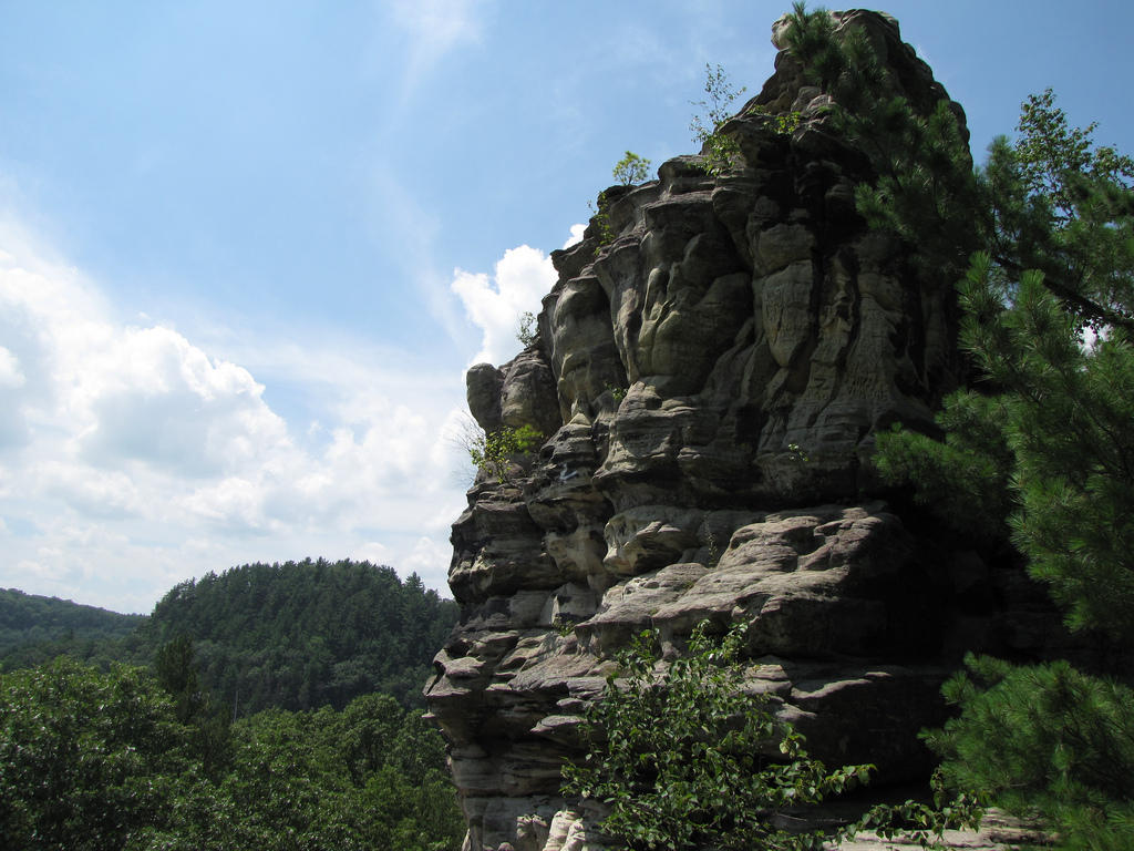 Wisconsin Rocks! WUWM