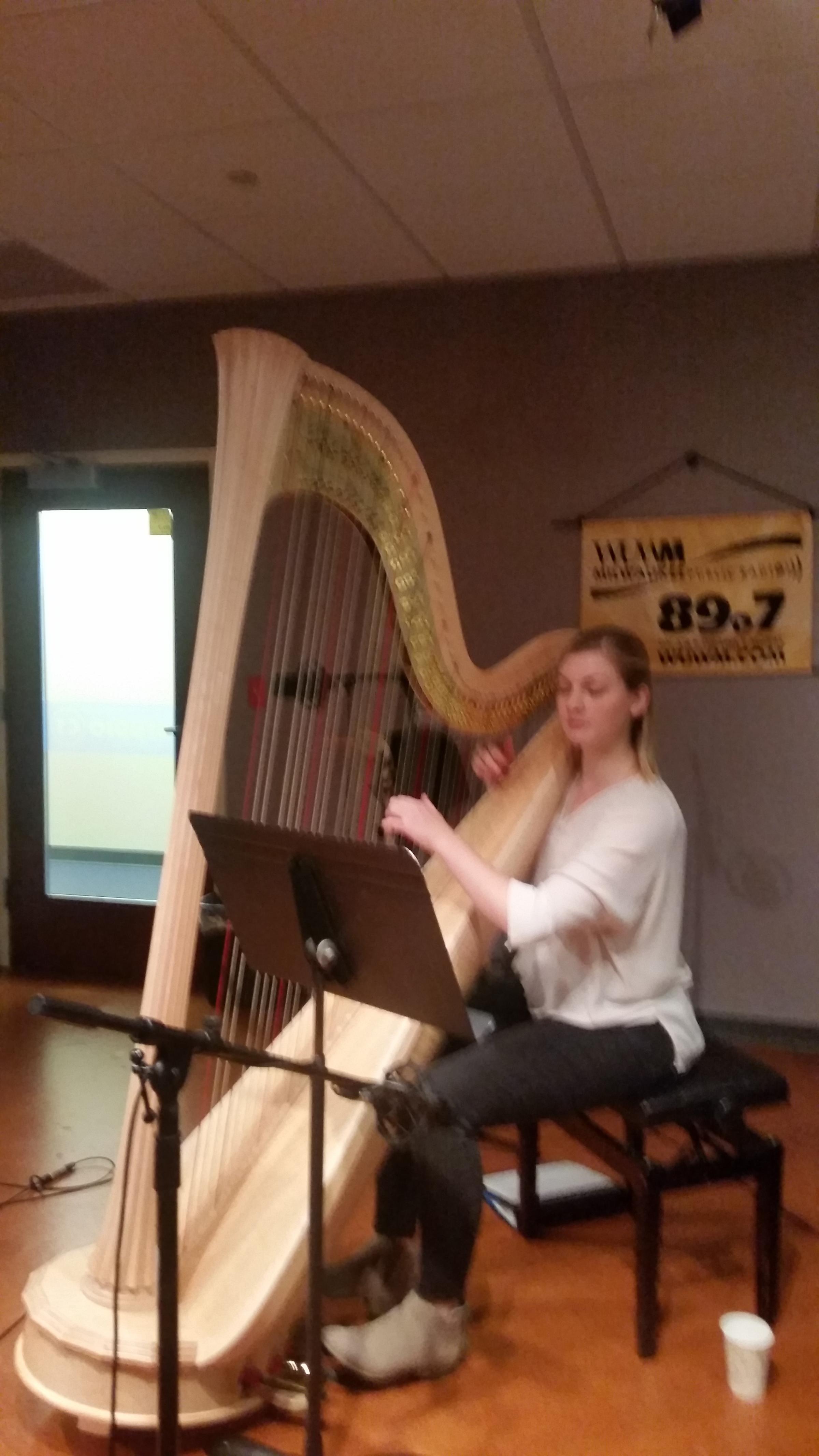 Harping About Harps with Musician Kate Ray WUWM