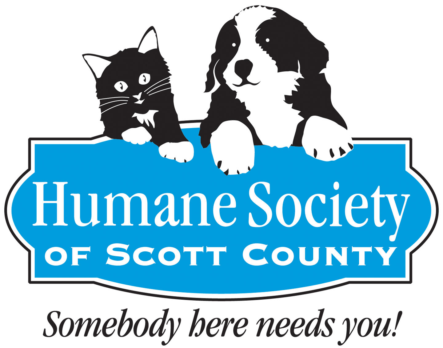 Possible New Contract for Humane Society of Scott County WVIK