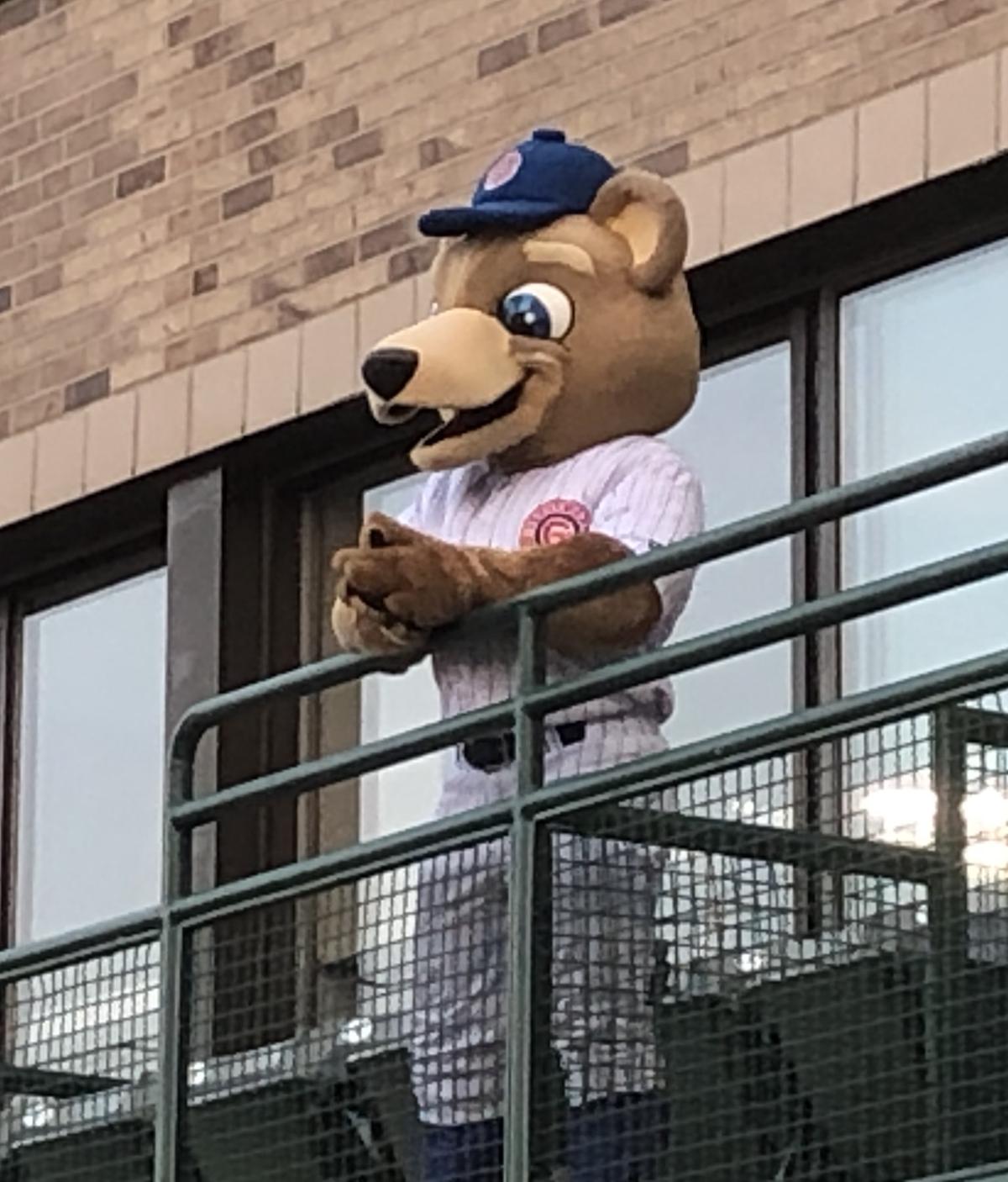 South Bend Cubs Will Be Chicago Cubs AdvancedA Affiliate WVPE