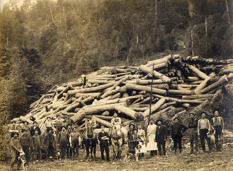 A Brief History of the W.Va. Timber Industry | West Virginia Public ...