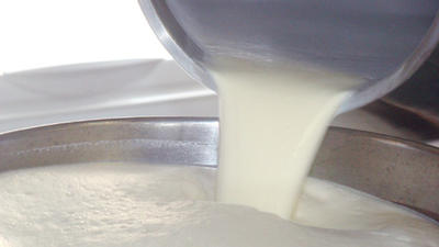 Raw Milk Law Takes Effect Today | West Virginia Public Broadcasting