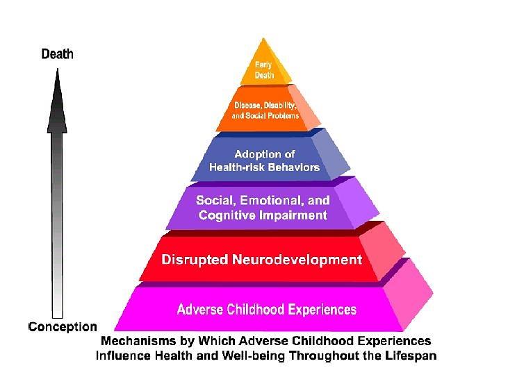 Adverse Childhood Experiences Effects on Later Life Examined | WVTF