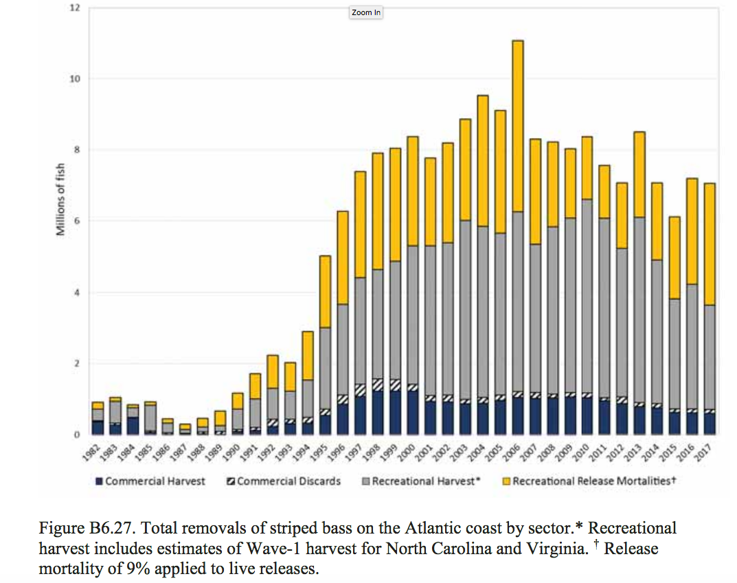 East Coast States Act To Stop Overfishing Of Striped Bass WVTF