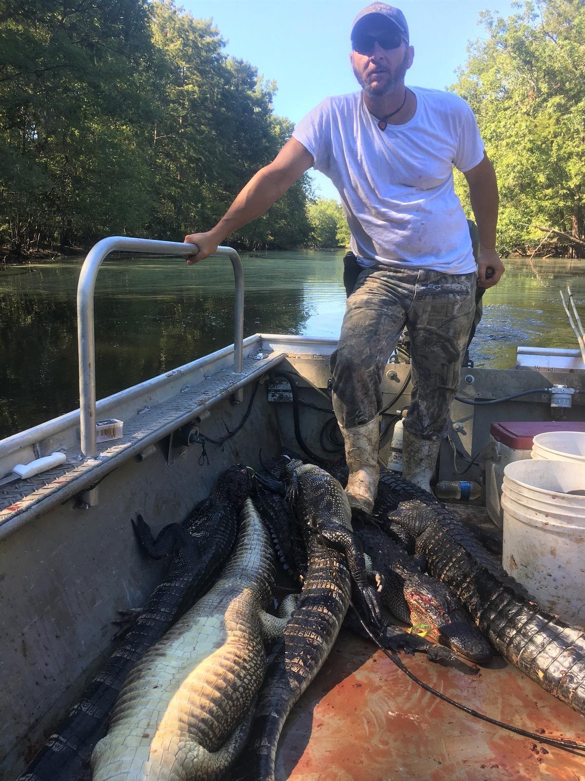 For Alligator Hunters In Louisiana, It's Not About The Money WWNO