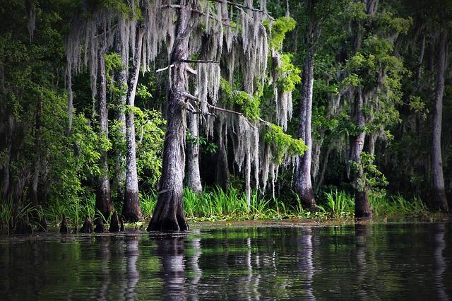 Coastal Rundown: Louisiana RESTORE Project Proposals | WWNO