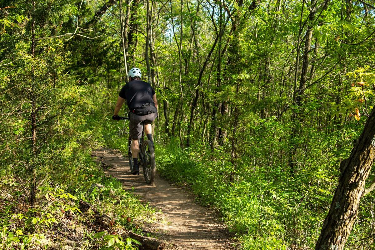 Minocqua Town Board Gets Update on Winter Park’s Mountain Bike Trails