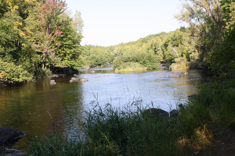 Wolf River A Foot Below Flood Level WXPR