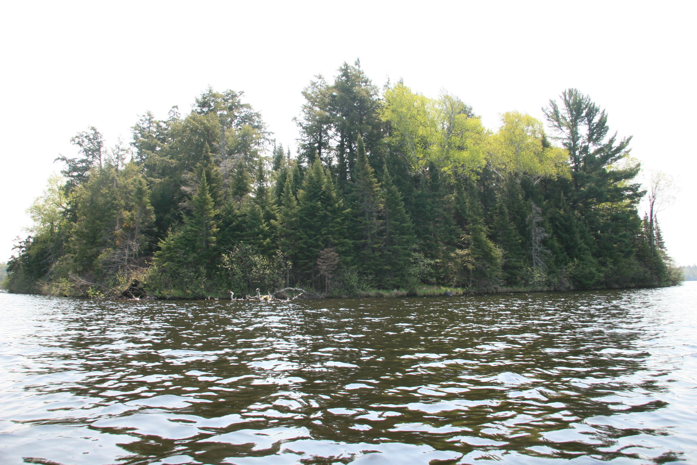 Hemlock Island Latest Easement For Northwoods Land Trust WXPR