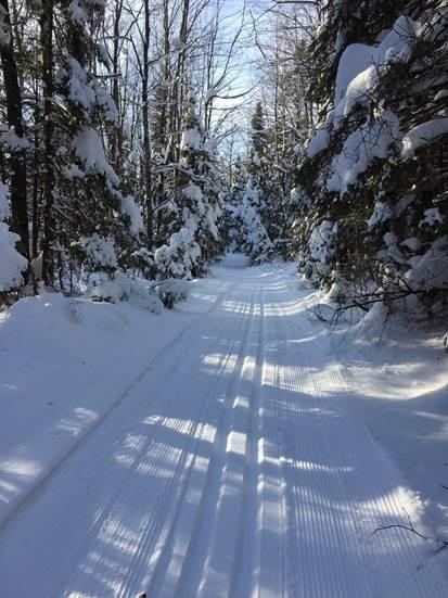 Chequamegon-Nicolet National Forest Silent Sport Trails Open with Some ...