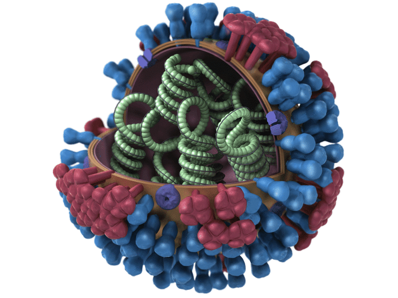 'It's through the roof here' Flu strain typically dominant in spring