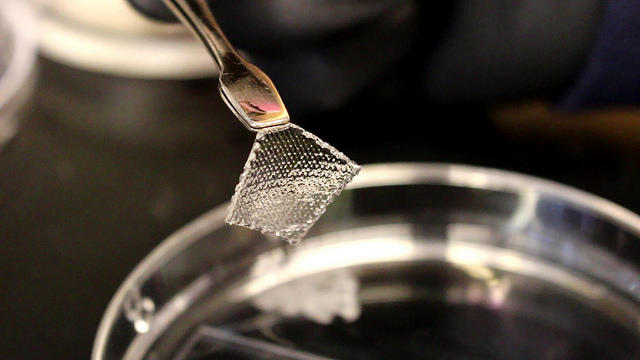 3D Bioprinting: The Future of Regenerative Medicine | WYPR